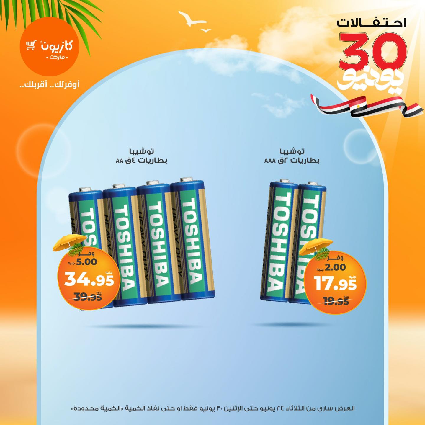 kazyon offers from 23jun to 3jun 2025 عروض كازيون من 23 يونيو حتى 3 يونيو 2025 صفحة رقم 5